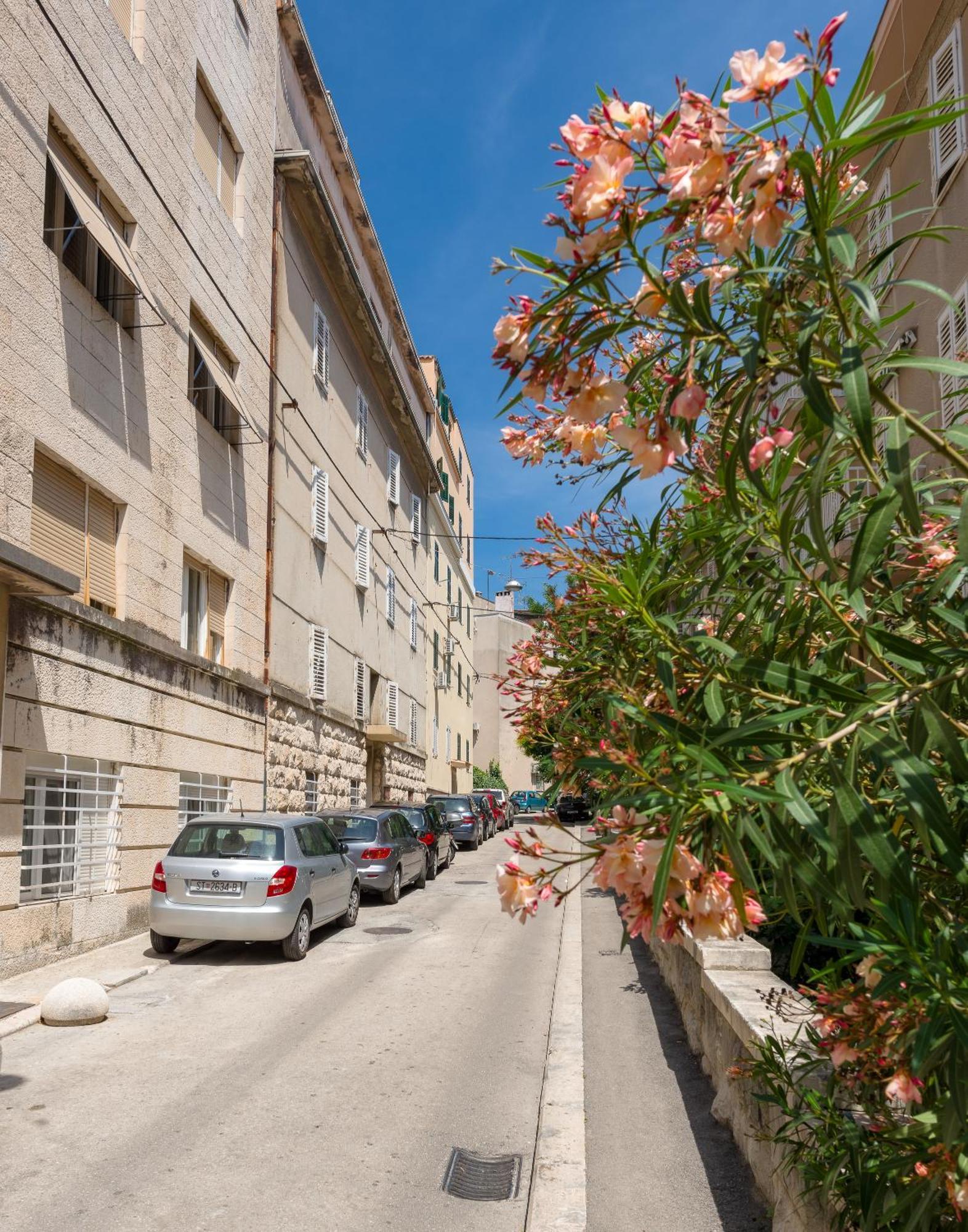 ספליט Luxury Rooms And Apartment Silente Bacvice מראה חיצוני תמונה